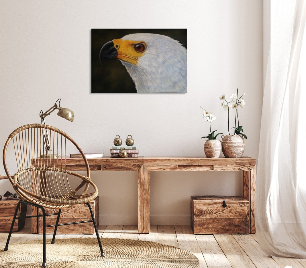 African Fish Eagle - Sentry of the Waterways