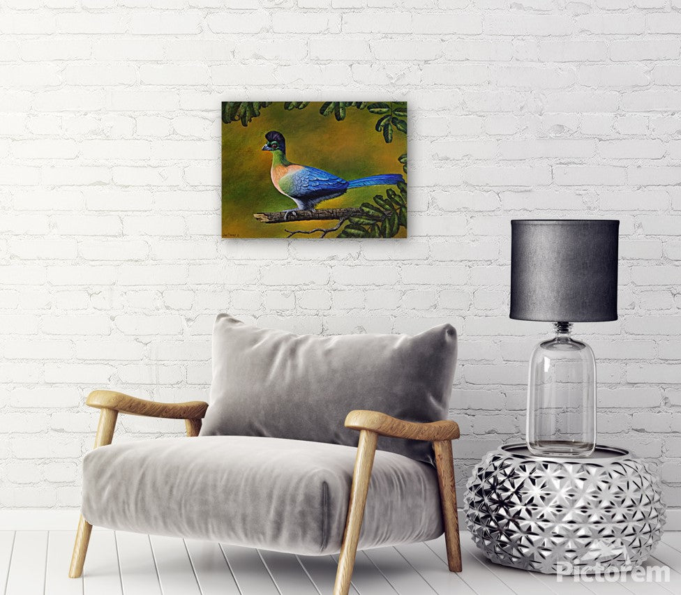 Purple-Crested Turaco - Limited Edition Canvas Print
