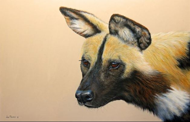 Alert - African Wild Dog - Limited Edition Canvas Wall art by International Artist Joe Marais