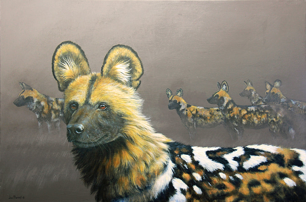 Alpha Male - African Wild Dog -  Limited Edition Canvas Print by International Wildlife Artist Joe Marais