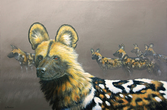Alpha Male - African Wild Dog -  Limited Edition Canvas Print by International Wildlife Artist Joe Marais
