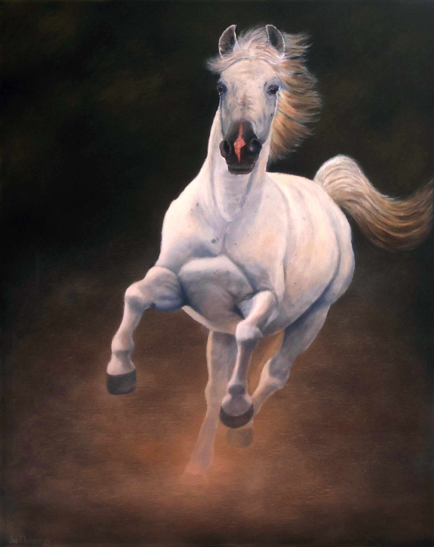 Arabian Stallion - Limited edition Canvas  Prints by International Artist Joe Marais