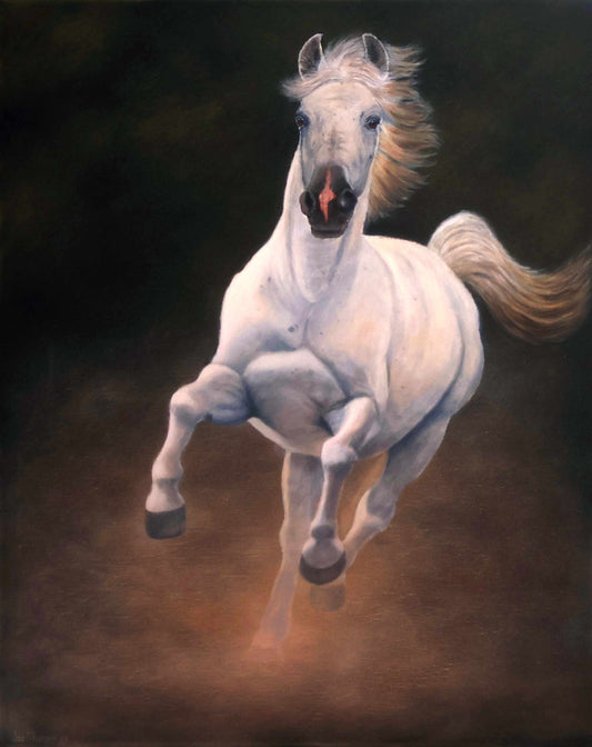 Arabian Stallion - Limited edition Canvas  Prints by International Artist Joe Marais