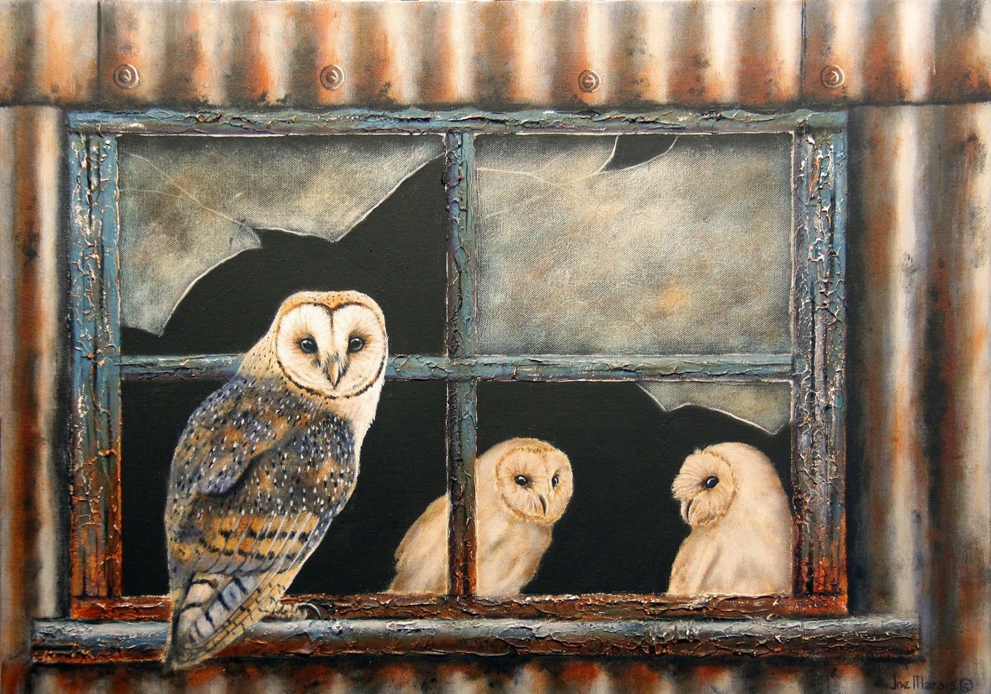 Born in a Barn - Barn Owl - Limited Edition Canvas Prints by Joe Marais