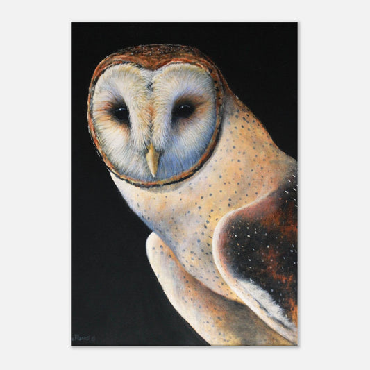 Art print of a detailed owl illustration on a black background