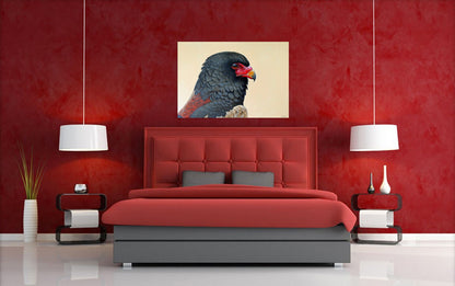 The Prince of the Sky -  Limited Edition Canvas Print by Joe Marais