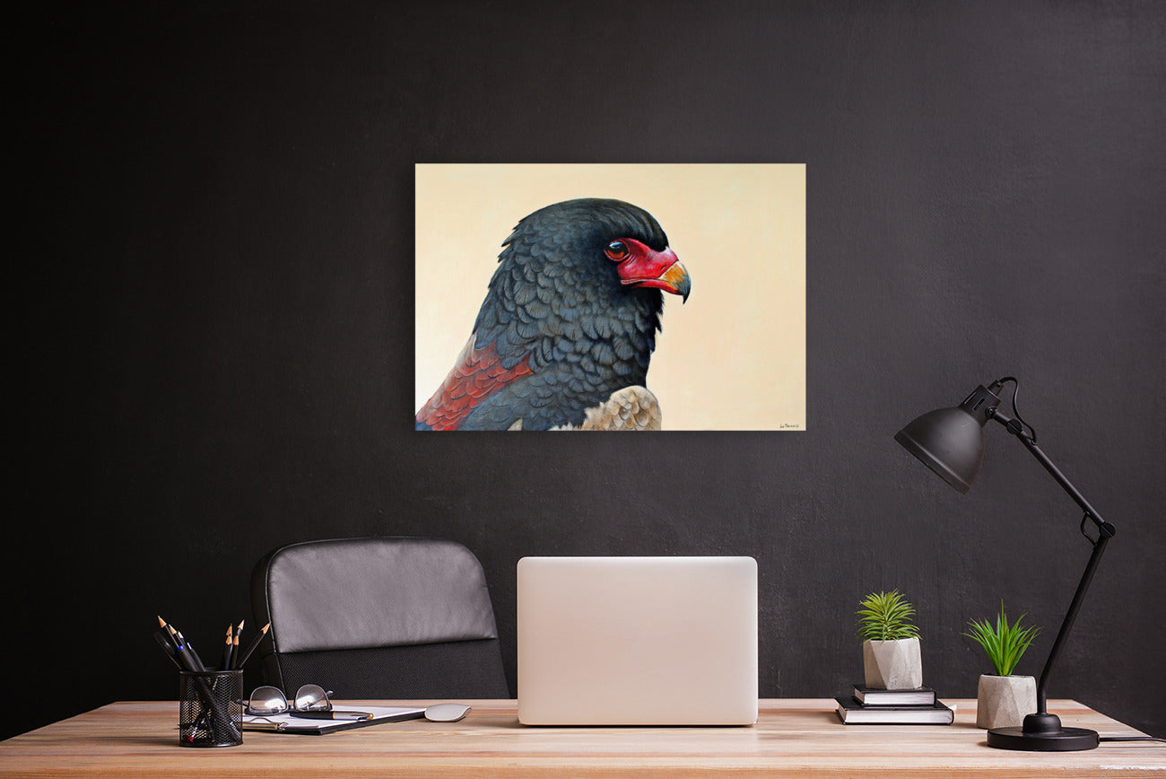 The Prince of the Sky -  Limited Edition Canvas Print by Joe Marais
