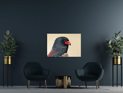 The Prince of the Sky -  Limited Edition Canvas Print by Joe Marais
