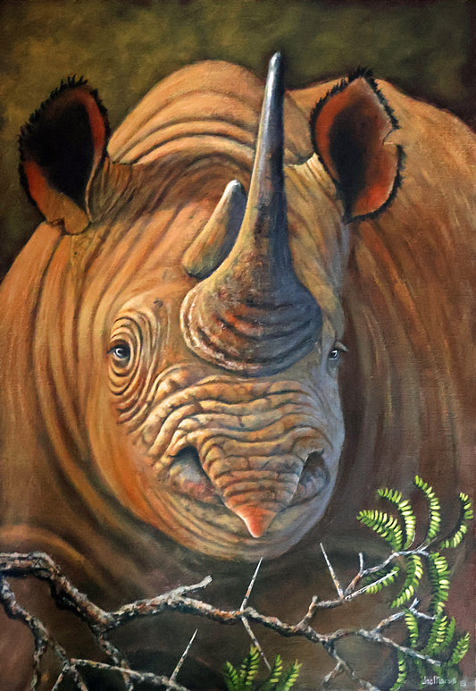 Horned Sentinel - Black Rhino - Limited Edition Canvas Print by International Wildlife Artist Joe Marais