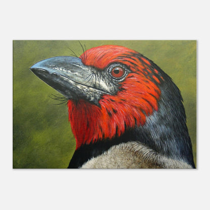 Close-up painting of a bird with a red face and black and gray head on a green background
