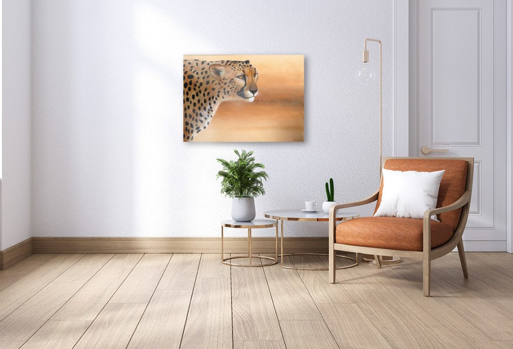 Cheetah Focus -  Limited Edition Canvas Print by International Wildlife Artist Joe Marais