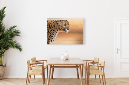 Cheetah Focus -  Limited Edition Canvas Print by International Wildlife Artist Joe Marais