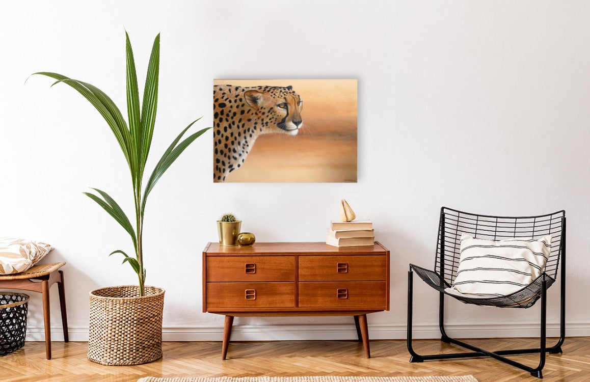 Cheetah Focus -  Limited Edition Canvas Print by International Wildlife Artist Joe Marais