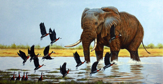 Elephant Magical Moment - Limited Edition Canvas Print by Joe Marais
