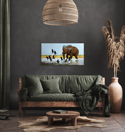 Elephant Magical Moment - Limited Edition Canvas Print by Joe Marais