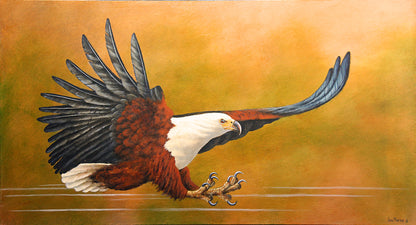 African Fish Eagle - Action Perfection -  Limited Edition Canvas Print