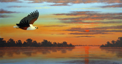 African Fish Eagle - Sunset Action  -  Limited Edition Canvas Print
