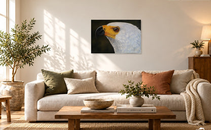 African Fish Eagle - Sentry of the Waterways
