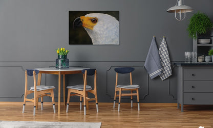 African Fish Eagle - Sentry of the Waterways