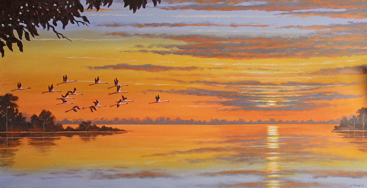 Flamboyance -  Limited Edition Canvas Print