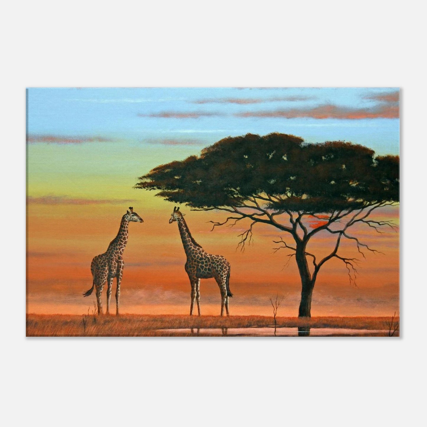 Two giraffes under a large tree with a sunset sky