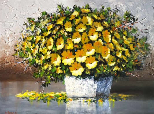 Golden Daisy Dance -  Limited Edition Canvas Print by Joe Marais