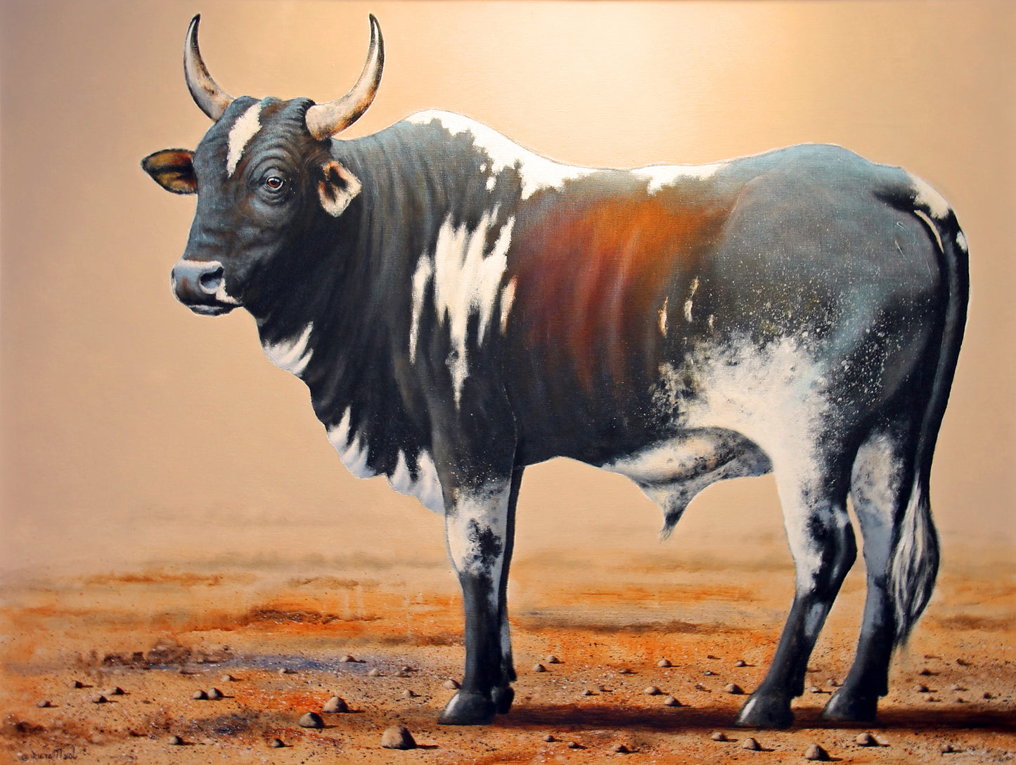 Nguni Boss -  Limited Edition Canvas Print