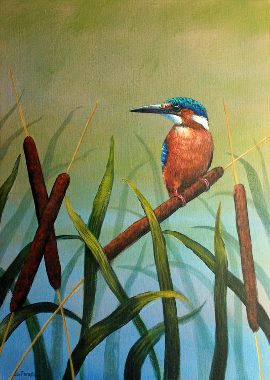 The King of Fishers -  Limited Edition Canvas Print by International Wildlife Artist Joe Marais