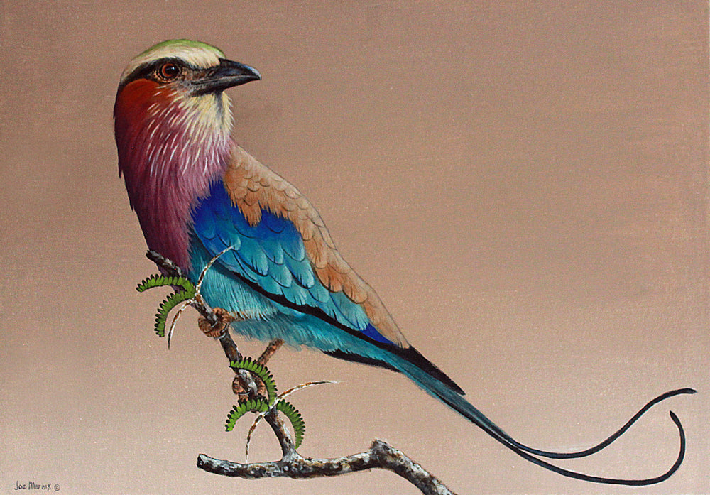 The Flying Palette -  Limited Edition Canvas Print by Joe Marais