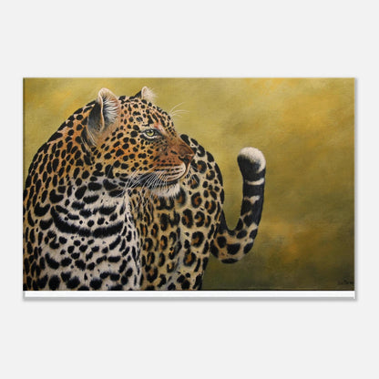 Leopard - The ultimate Cat - Limited Edition Canvas Prints by Joe Marais