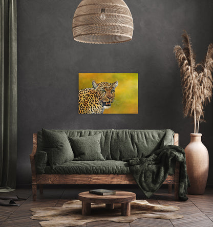 Leopard Focus -  Limited Edition Canvas Print by Joe Marais