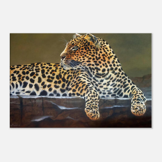 Leopard lying on a rock with a natural background