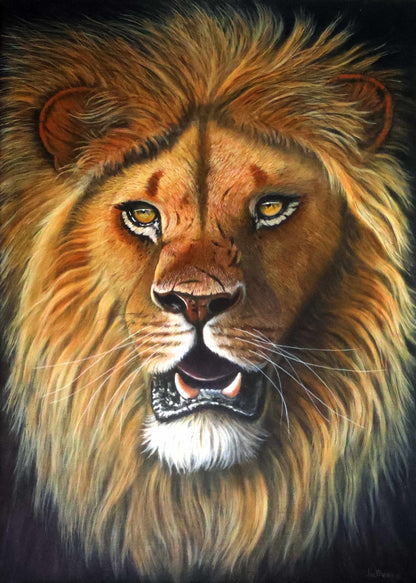The Lion King -  Limited Edition Canvas Print by Joe Marais