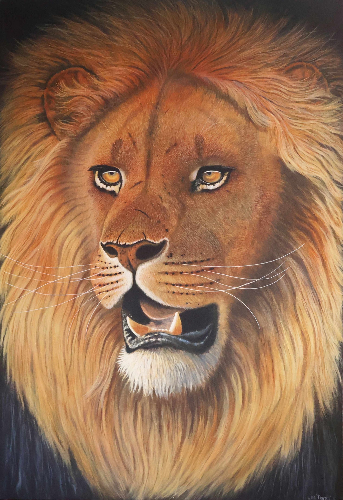 Close-up of a lion with detail and expression
