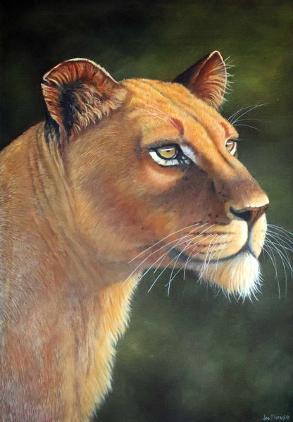 The Lion Queen -  Limited Edition Canvas Print by Joe Marais