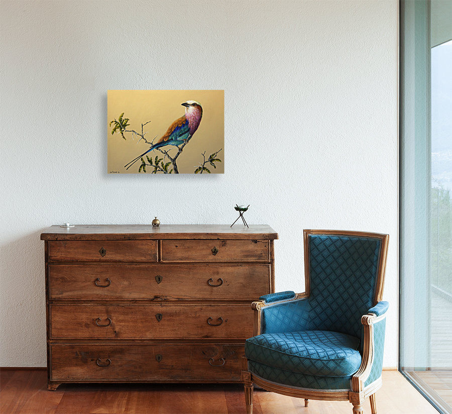 The Flying Palette -  Limited Edition Canvas Print by Joe Marais