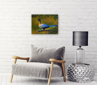 Purple-Crested Turaco -  Limited Edition Canvas Print