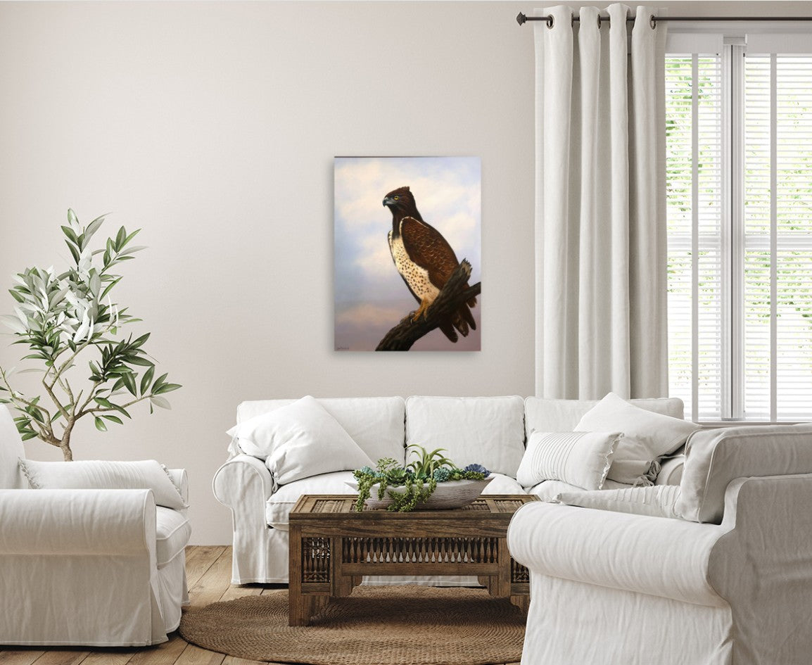 Majestic Martial Eagle -  Limited Edition Canvas Print by International Wildlife Artist Joe Marais