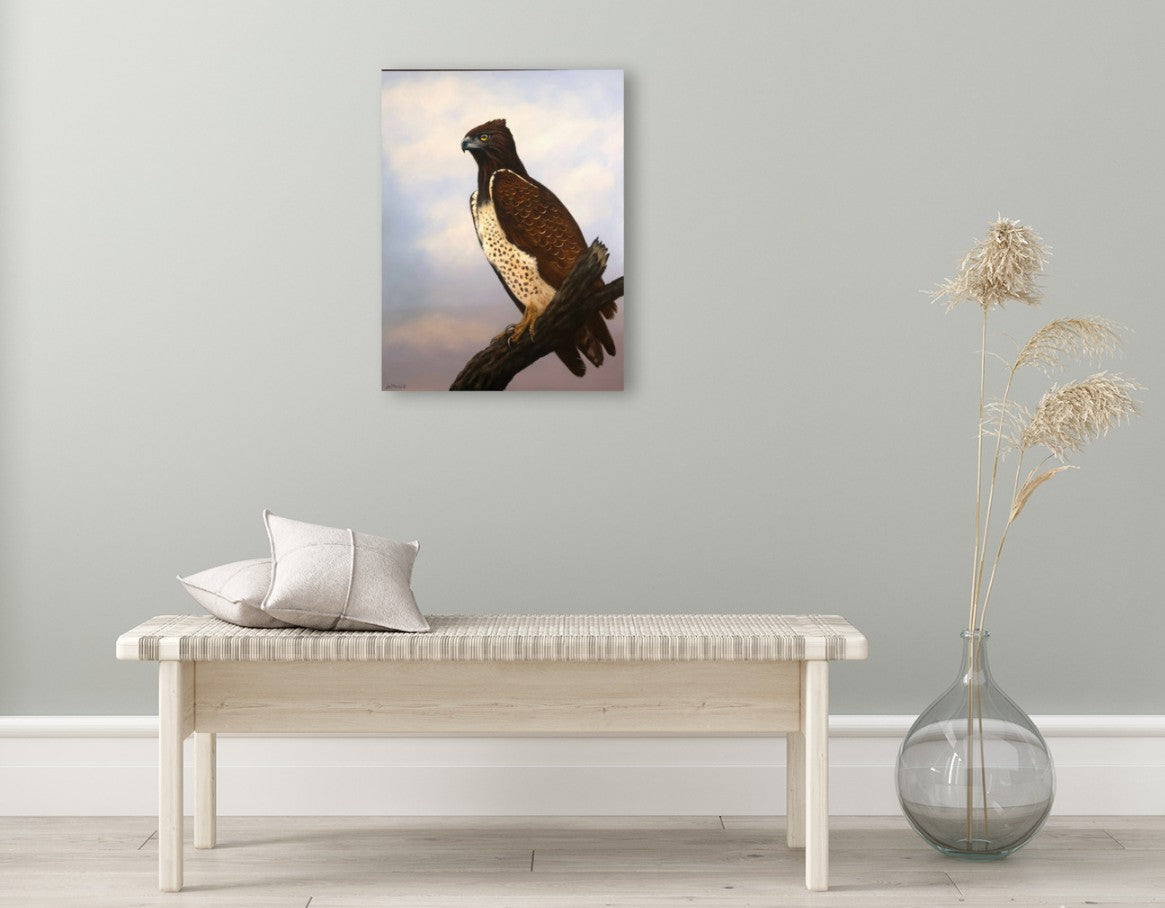 Majestic Martial Eagle -  Limited Edition Canvas Print by International Wildlife Artist Joe Marais