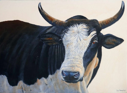 Nguni Magic -  Limited Edition Canvas Print by International Wildlife Artist Joe Marais