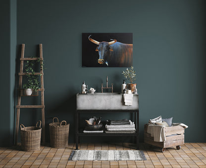 Nguni Royalty -  Limited Edition Canvas Print by Joe Marais