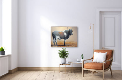 Nguni Boss -  Limited Edition Canvas Print