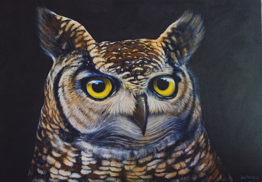 Eyes of Wisdom - Owl Painting Limited Edition Canvas Print by International Wildlife Artist Joe Marais