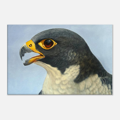 Close-up of a falcon's face with a blue gradient background