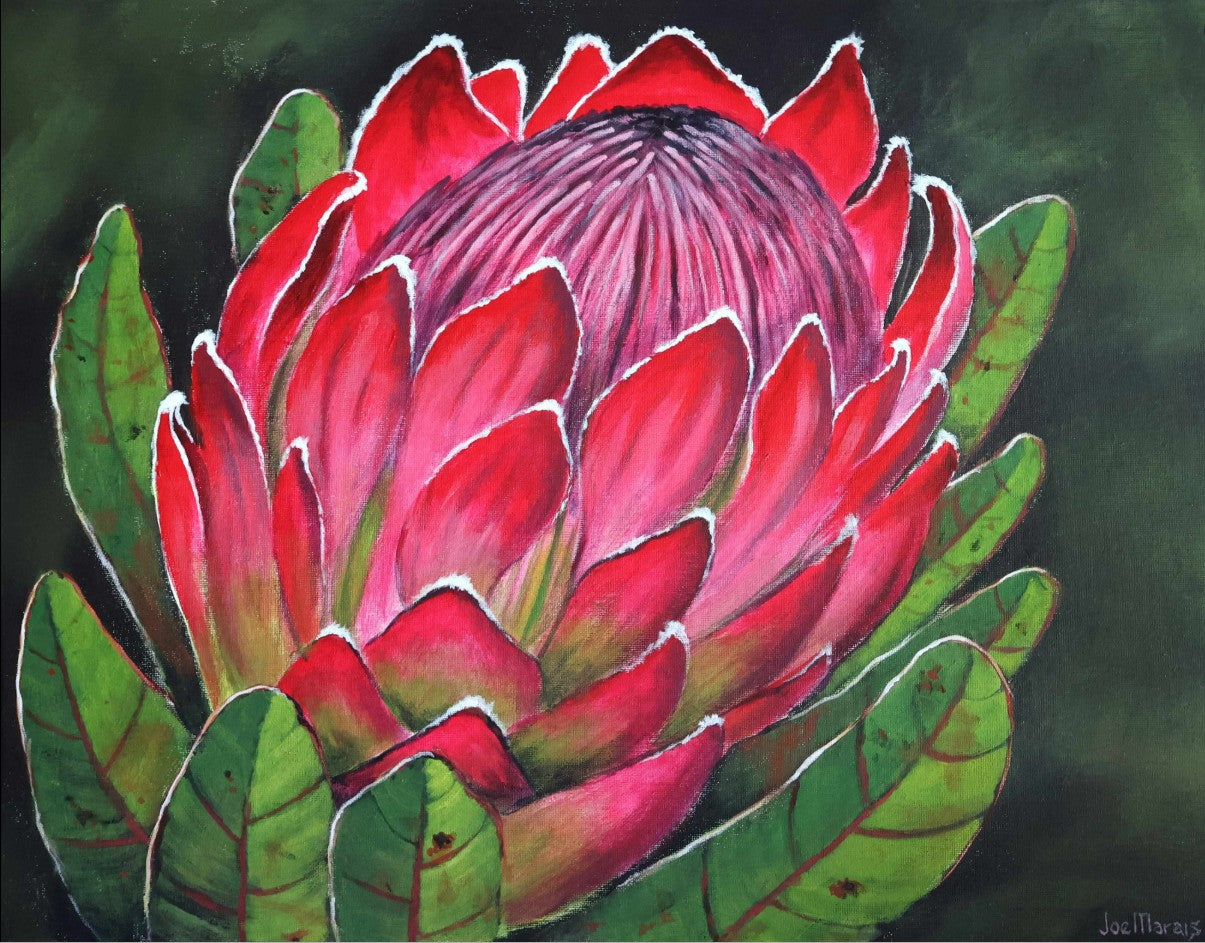 Protea - Timeless Crown of Flowers | Canvas Print