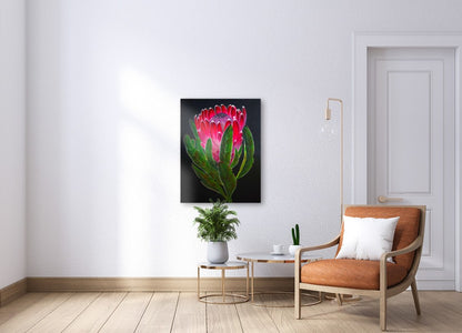 Protea - Timeless Crown of Flowers | Canvas Print