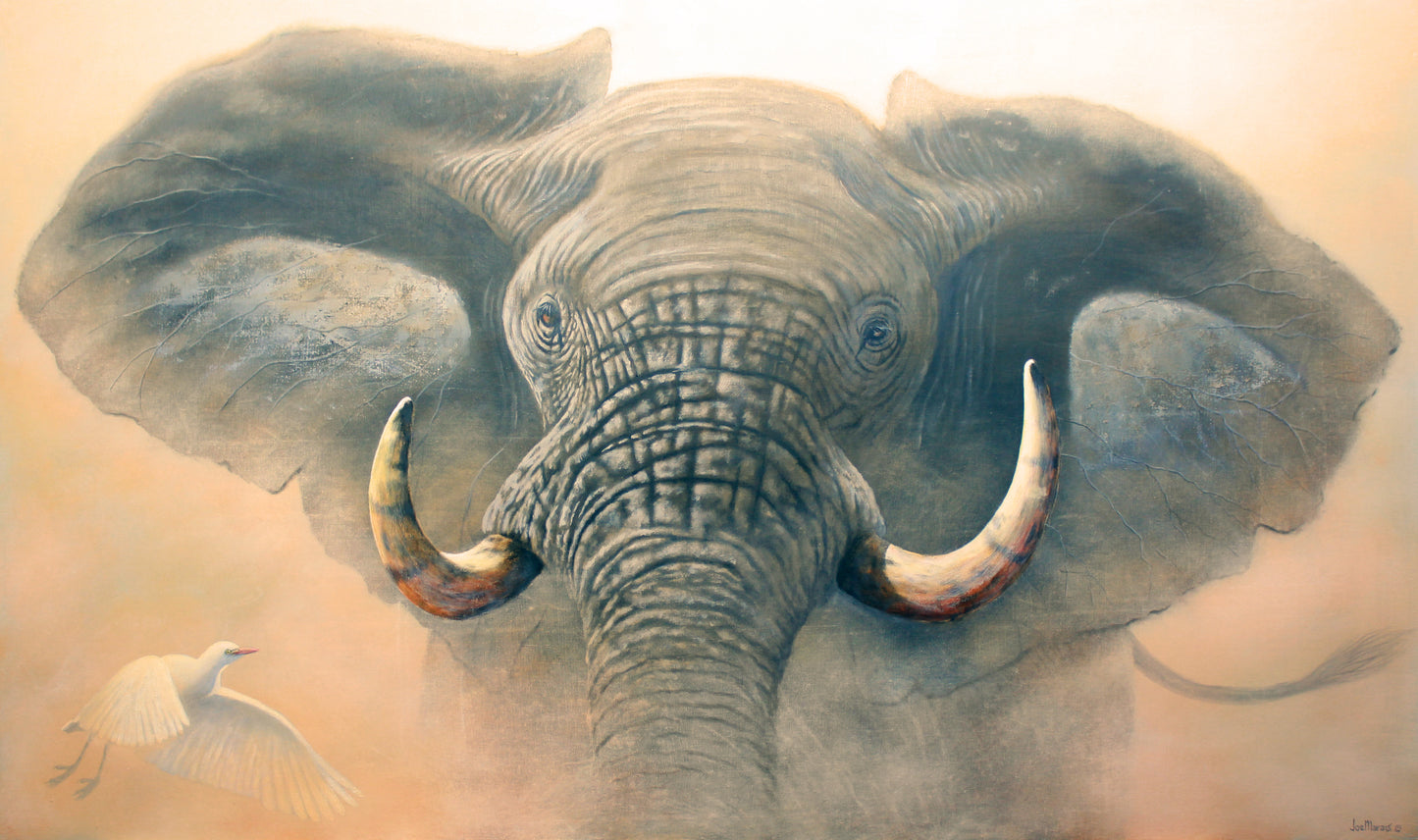 African Elephant "Rage" – Limited Edition Wildlife Canvas Print by Joe Marais
