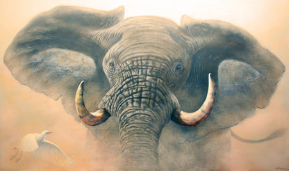 African Elephant "Rage" – Limited Edition Wildlife Canvas Print by Joe Marais