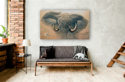 RAGE – Limited Edition Elephant Canvas (Only 50 Worldwide)