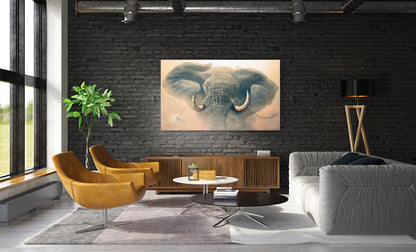 RAGE – Limited Edition Elephant Canvas (Only 50 Worldwide)